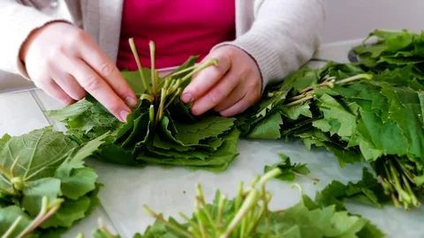 Vine grape leaf, leaf to make wrapping, expedited shooting, 스톡 동영상 108602529