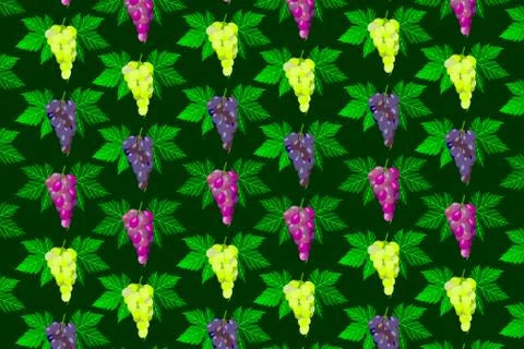Vine grape pattern Illustrazione stock