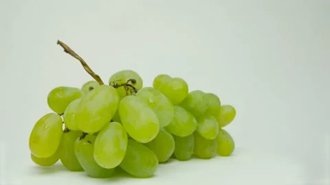 Vine Of Grapes Vídeos de archivo 169172805