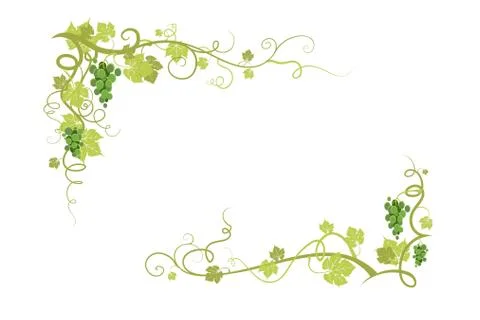 Vine nature frame Stock Illustration