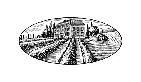 Vine plantation for bottle labels. Scenic view of French or Italian engraved Stock Illustration