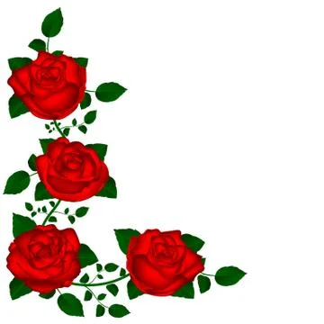Vine of red roses Stock Illustration