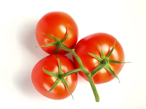Vine Ripe Tomatoes Stock Photos