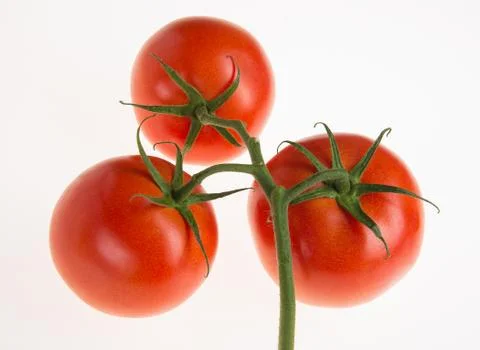 Vine Ripe Tomatoes Stock Photos