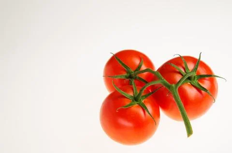 Vine Ripe Tomatoes Stock Photos