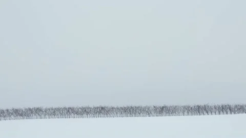 Vine Rows Top Hill Minimal Winter Time Snowy Season Vidéo 146789482