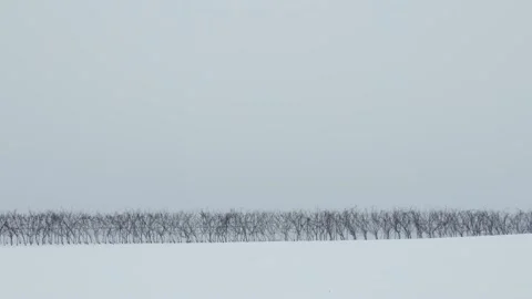 Vine Rows Top Hill Minimal Winter Time Snowy Season 스톡 동영상 146789512