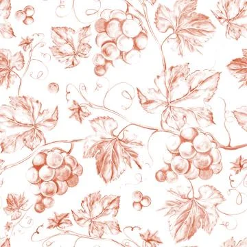 Vine seamless background Illustrazione stock