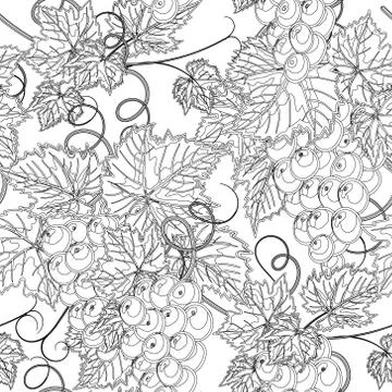 Vine seamless background. Vector illustration Stock Illustration