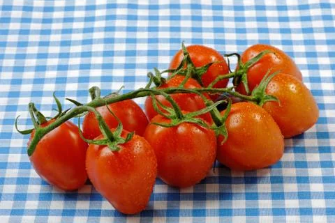 Vine tomatoes Stock Photos
