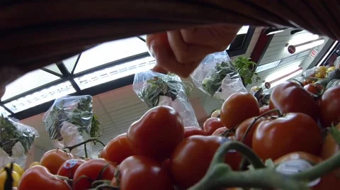 Vine tomatoes squeezed Stock Footage 47419394