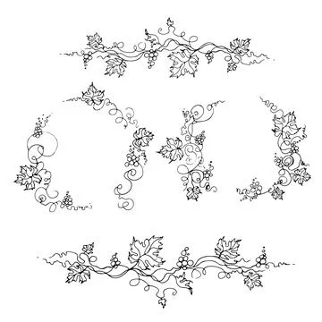 Vine. Vector illustration. Design elements with a twisting vine with leaves and Stock Illustration