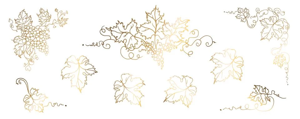 Vine. Vector illustration. Design elements with a twisting golden vine with Stock Illustration
