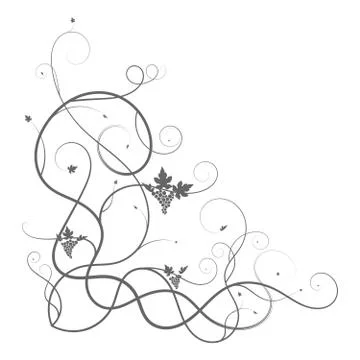 Vine vine plexus triangle branch on white Stock Illustration