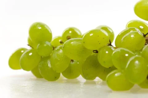 The vine is on a white background Stock Photos