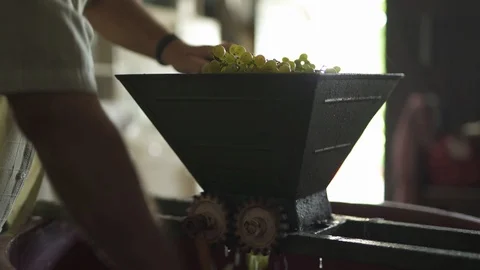 Vine yard, extracting grape juice, stock video Stock Footage 94440592