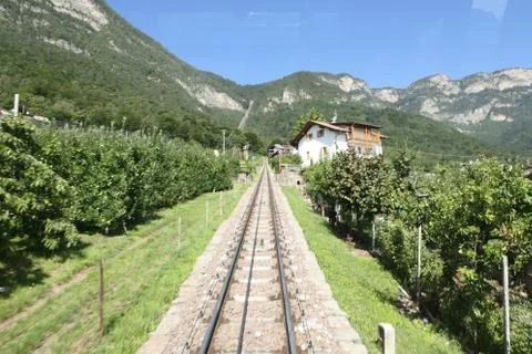 Vine yard with train an house in front of mountains Stock Photos
