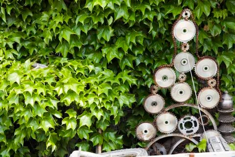 Vines and chains Stock Photos