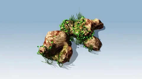 Vines growing on a rock animation Video stock 296483614