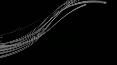 Vines optical luminance Stock Footage 55443448