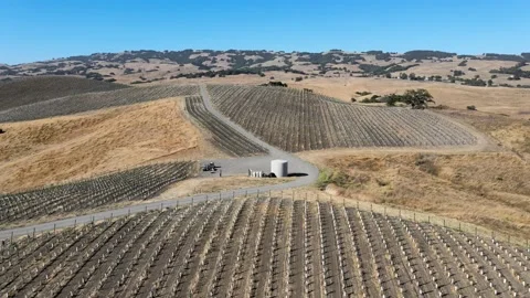 Vineyard Aerial Fly Over Version 1 Stock Footage 139016573