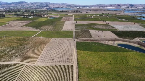 Vineyard And Agricultural Fields In Napa County California Stock Footage 345289706