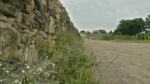 Vineyard and castle craneshot Stock Footage 11886160