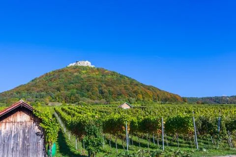 Vineyard and castle Stock Photos