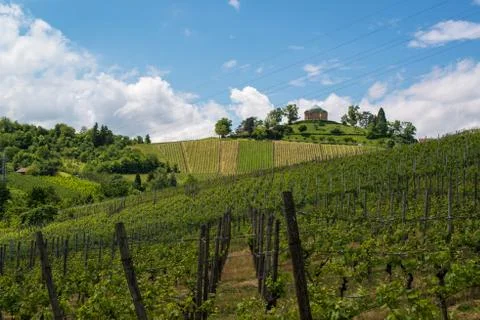 Vineyard and Chapel Stock Photos