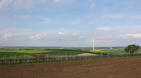 Vineyard and colored fields with windmill on the horizon Stock Footage 54026668