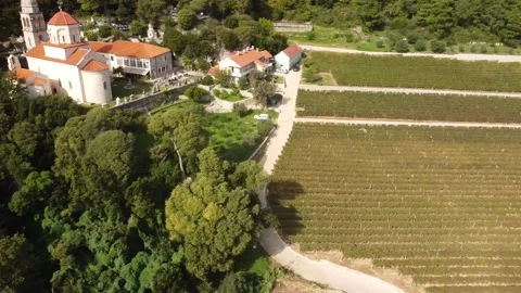 Vineyard and monastery, view from above. Stock Footage 221500685
