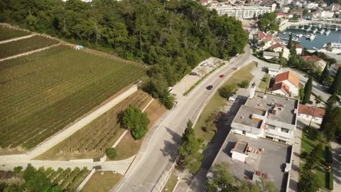 Vineyard and monastery, view from above. Stock Footage 221765910