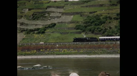 Vineyard and Train Along the Rhine 1957 Video stock 48080313