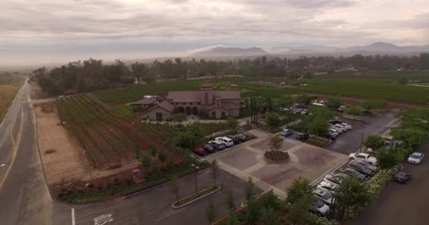 Vineyard B Aerials 4k Video stock 55342487