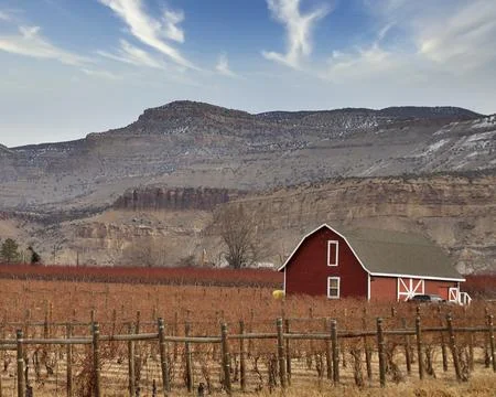 Vineyard barn in the valley Fotos Stock