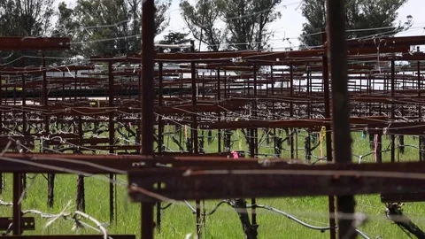 Vineyard Bars Stock Footage 108126166