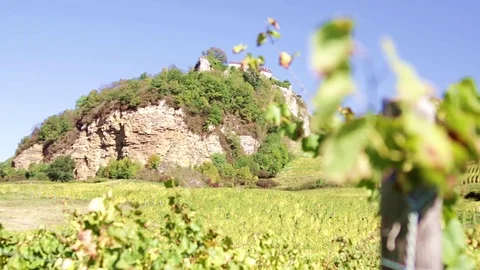 Vineyard below a cliff with focus changing Video stock 81227762