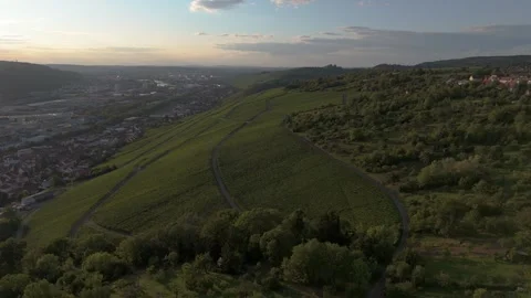Vineyard between Stuttgart and Esslingen  in Germany drone flight at sunset Stock Footage 247717448