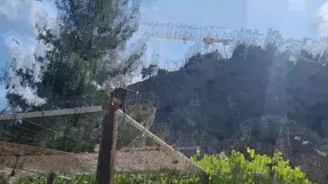 Vineyard with bird on pole in Cyprus hillside Stock Footage 328098339