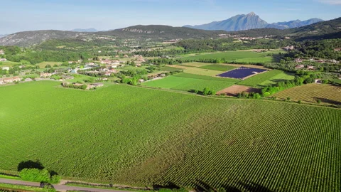 Vineyard blocks aligned on gentle slopes in the Garda area, Italy Stock Footage 340067721