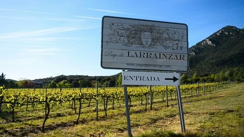 Vineyard Bodegas Pago de Larrainzar, Navarra, Spain, Camino de Santiago. Stock Footage 79952184