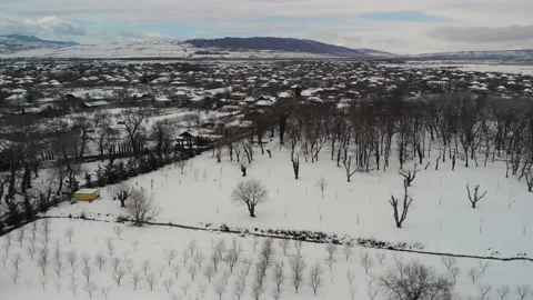 Vineyard buds in winter 스톡 동영상 168535746