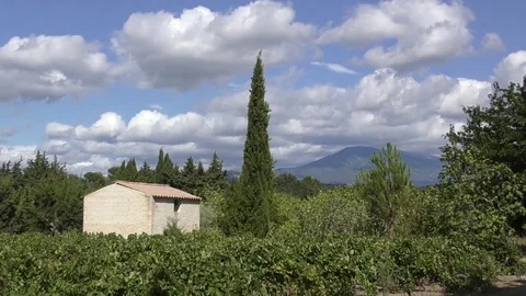 Vineyard building mountain moving clouds Stock Footage 82582599