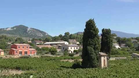Vineyard buildings mountains panning Stock Footage 82582916