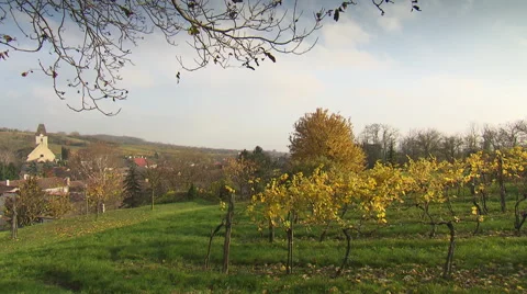 Vineyard with chapel in the back Stock Footage 59183185