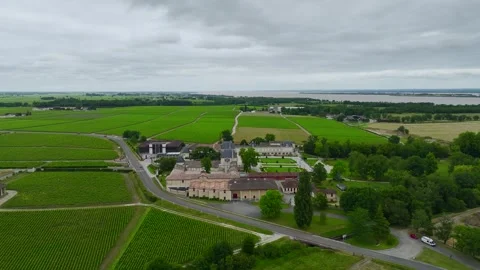 Vineyard of Chateau Beychevelle from a drone, Saint-Julien-Beychevelle, France Vidéo 312316853
