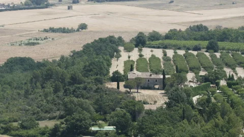Vineyard in Cucuron, Provence. Still Shot Stock Footage 88884677