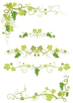 Vineyard design Stock Illustration