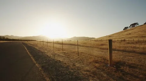 Vineyard driving at sunset 스톡 동영상 44447438