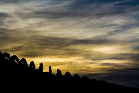 Vineyard Evening Stock Photos